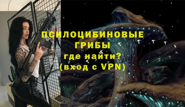 прущие крисы Белоозёрский