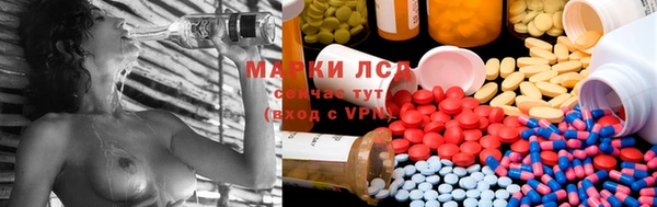 прущие крисы Белоозёрский
