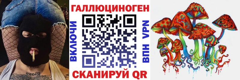 дарнет шоп  Плёс  Галлюциногенные грибы Magic Shrooms 