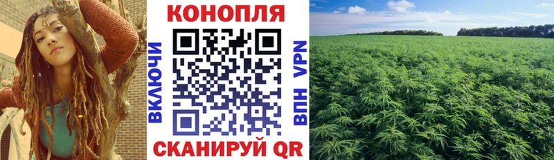 Конопля MAZAR  Плёс 